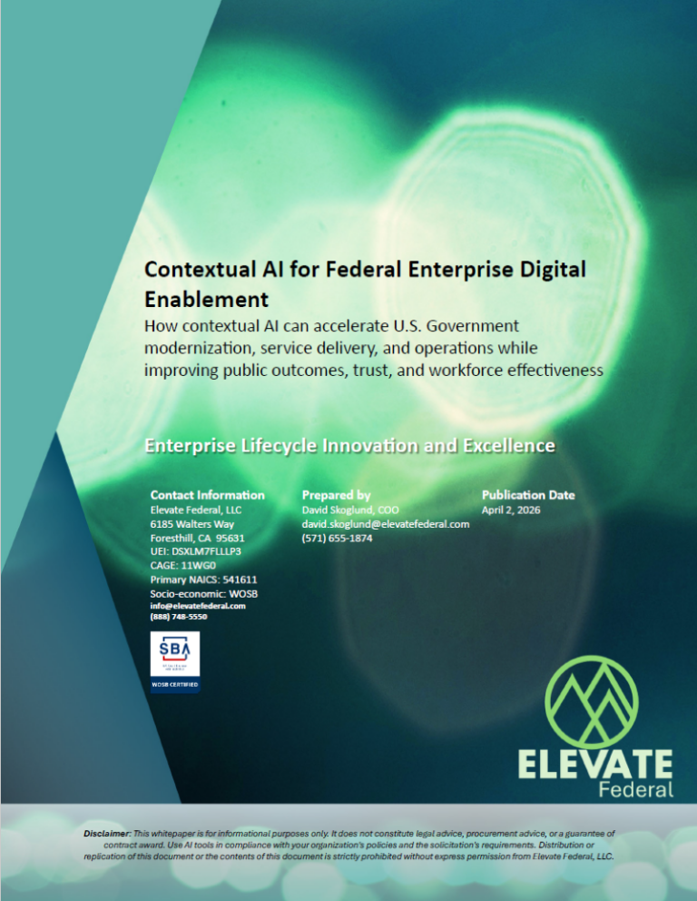 Contextual AI in Digital Modernization